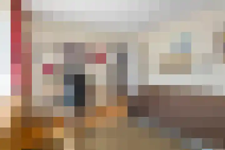 Julianalaan 24 c Tiel thumbnail 26