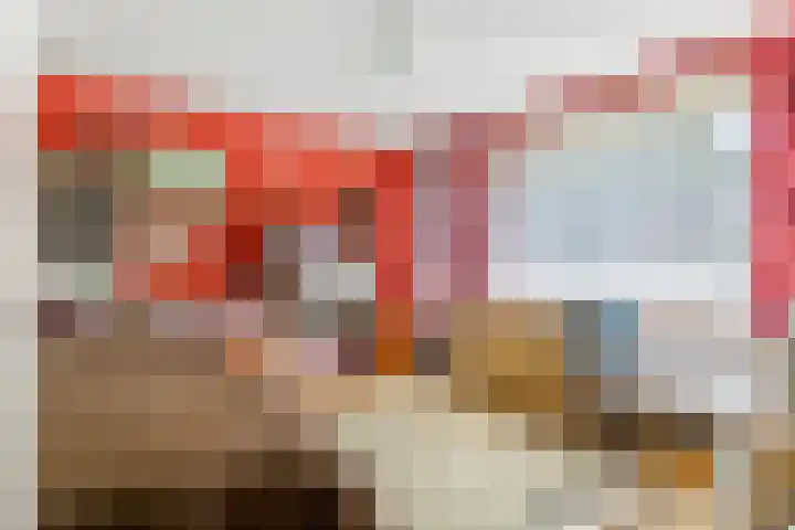 Julianalaan 24 c Tiel thumbnail 27