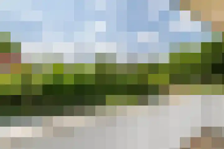 Julianalaan 24 c Tiel thumbnail 28