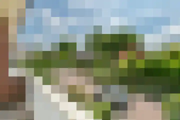Julianalaan 24 c Tiel thumbnail 29