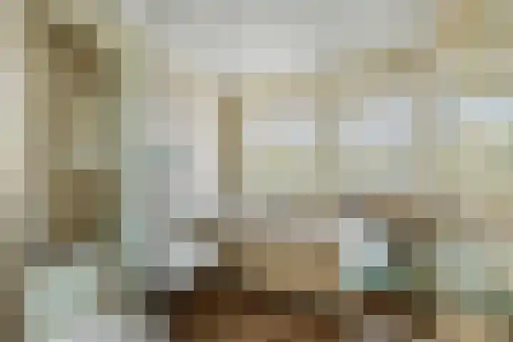 Julianalaan 24 c Tiel thumbnail 30