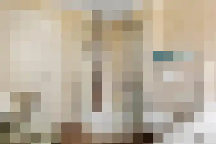 Julianalaan 24 c Tiel thumbnail 31