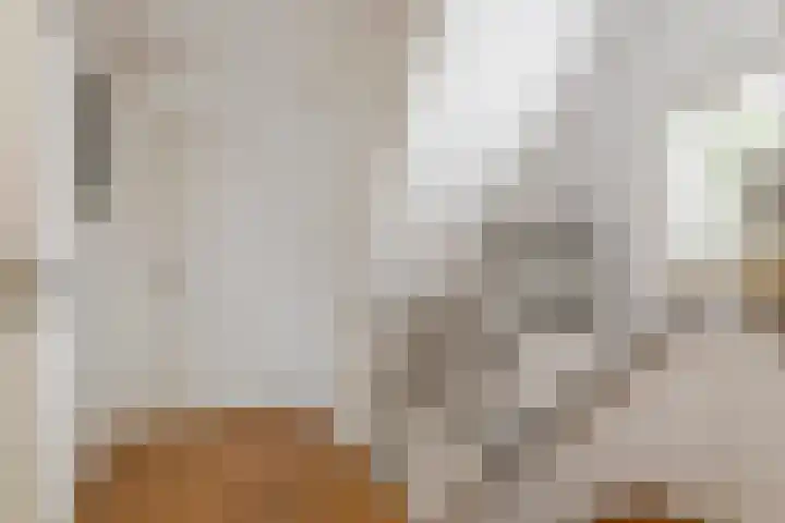Julianalaan 24 c Tiel thumbnail 33