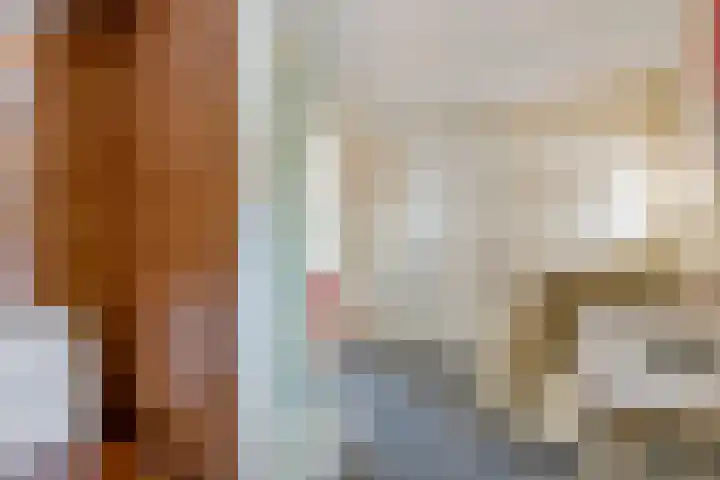 Julianalaan 24 c Tiel thumbnail 35