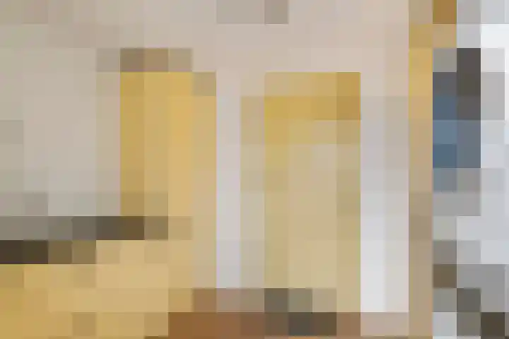 Julianalaan 24 c Tiel thumbnail 39