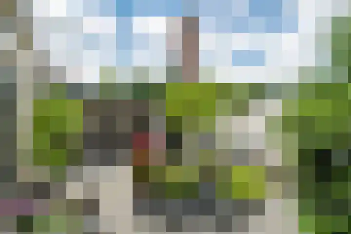 Julianalaan 24 c Tiel thumbnail 40
