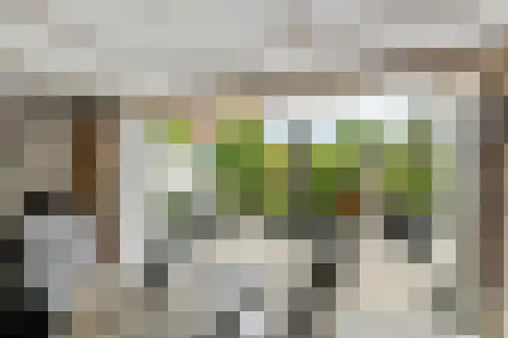 Julianalaan 24 c Tiel thumbnail 43