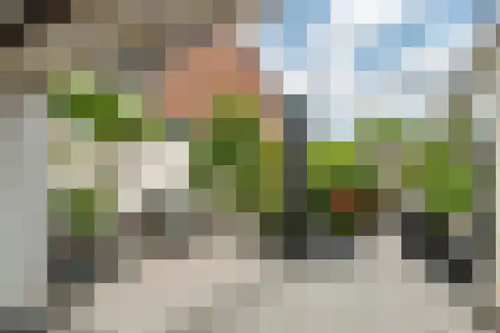 Julianalaan 24 c Tiel thumbnail 45
