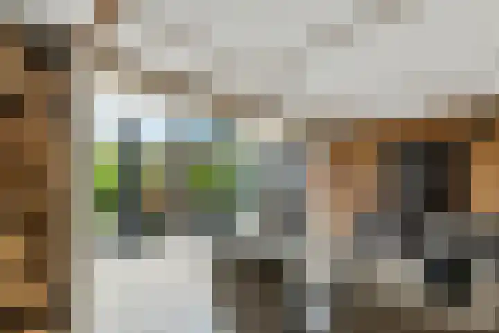 Julianalaan 24 c Tiel thumbnail 46