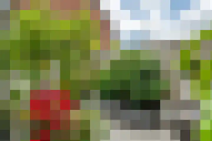 Julianalaan 24 c Tiel thumbnail 47