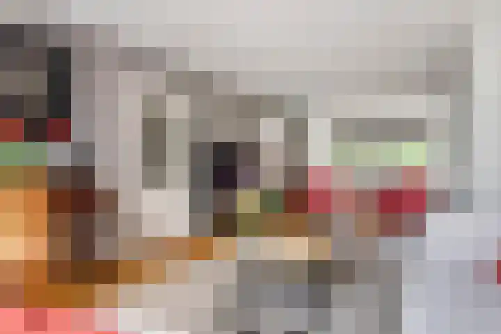 Julianalaan 24 c Tiel thumbnail 9