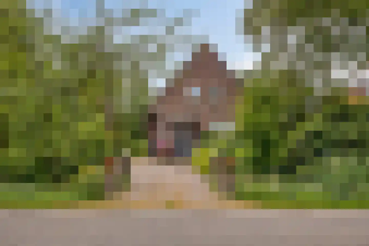 Julianalaan 24 's Gravenmoer