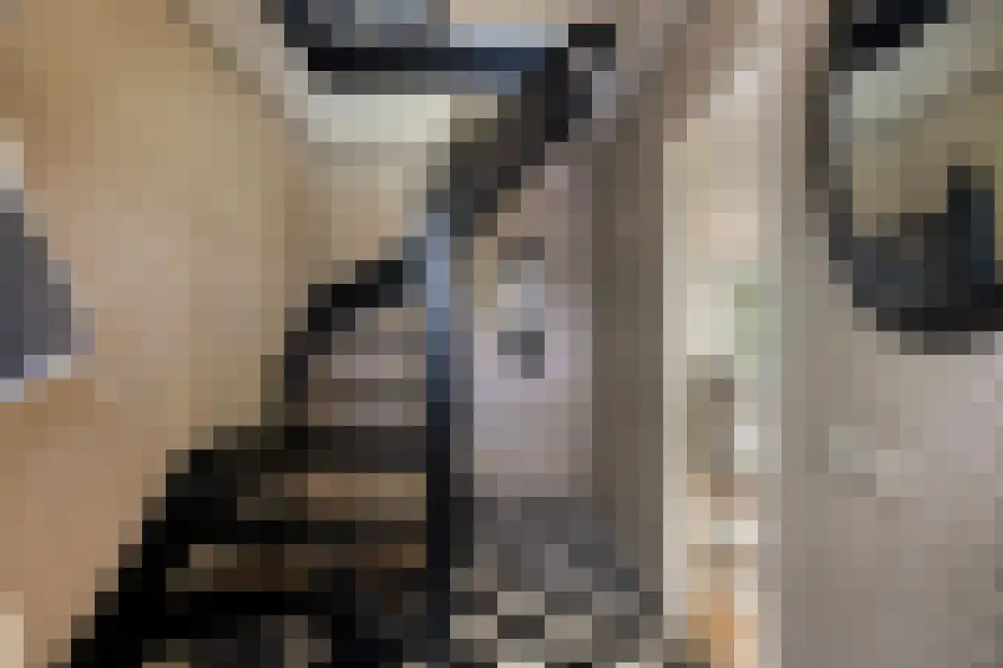 Julianalaan 24 's Gravenmoer thumbnail 10