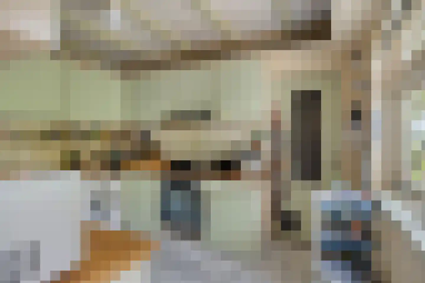Julianalaan 24 's Gravenmoer thumbnail 16