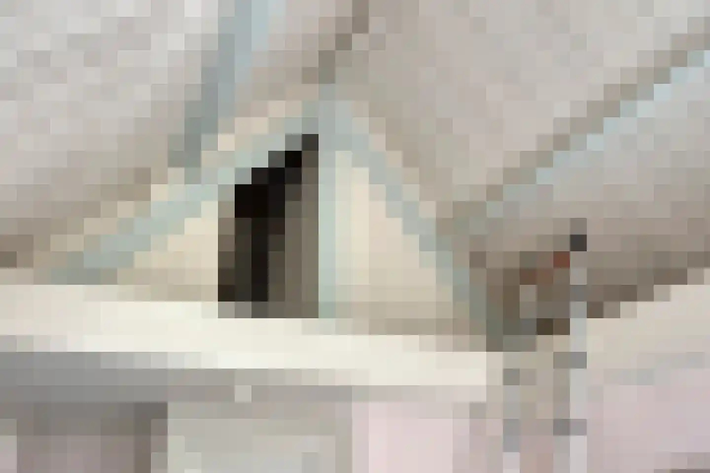 Julianalaan 24 's Gravenmoer thumbnail 21
