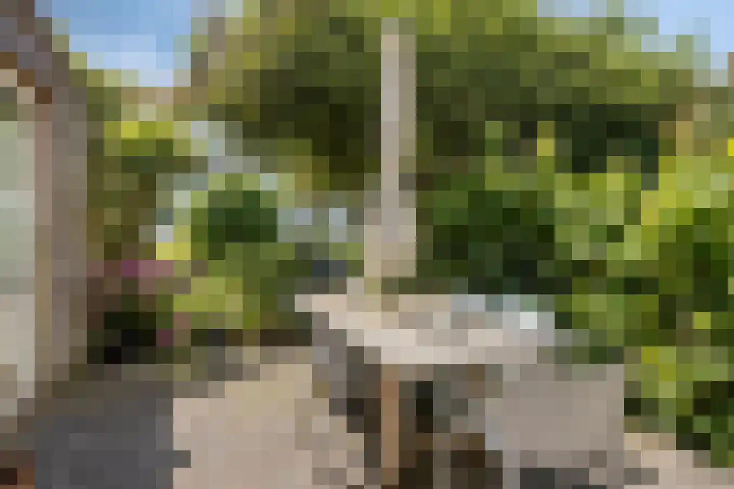 Julianalaan 24 's Gravenmoer thumbnail 27
