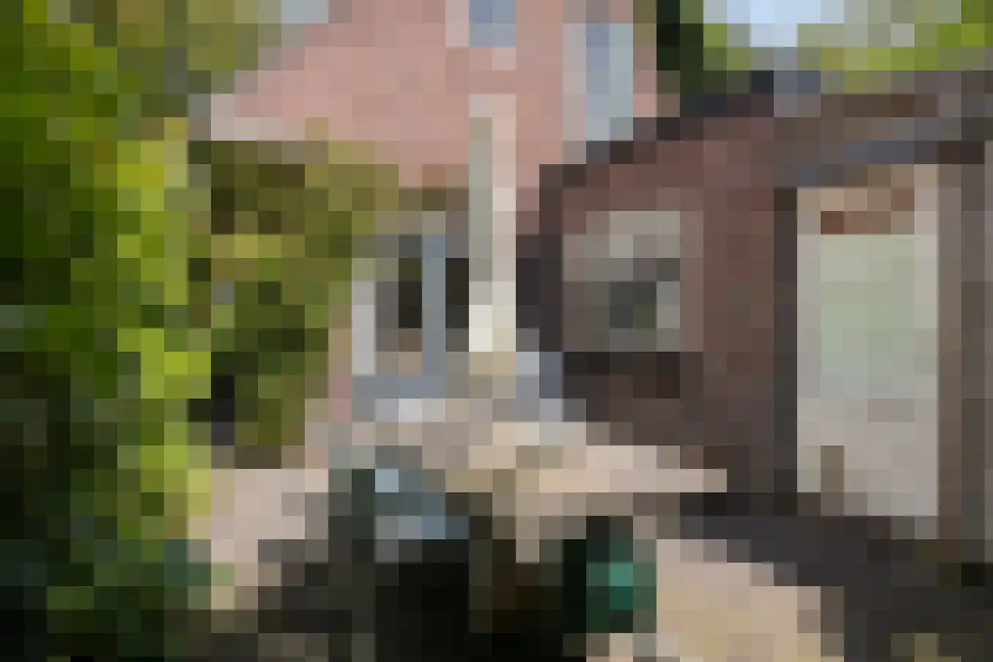 Julianalaan 24 's Gravenmoer thumbnail 28
