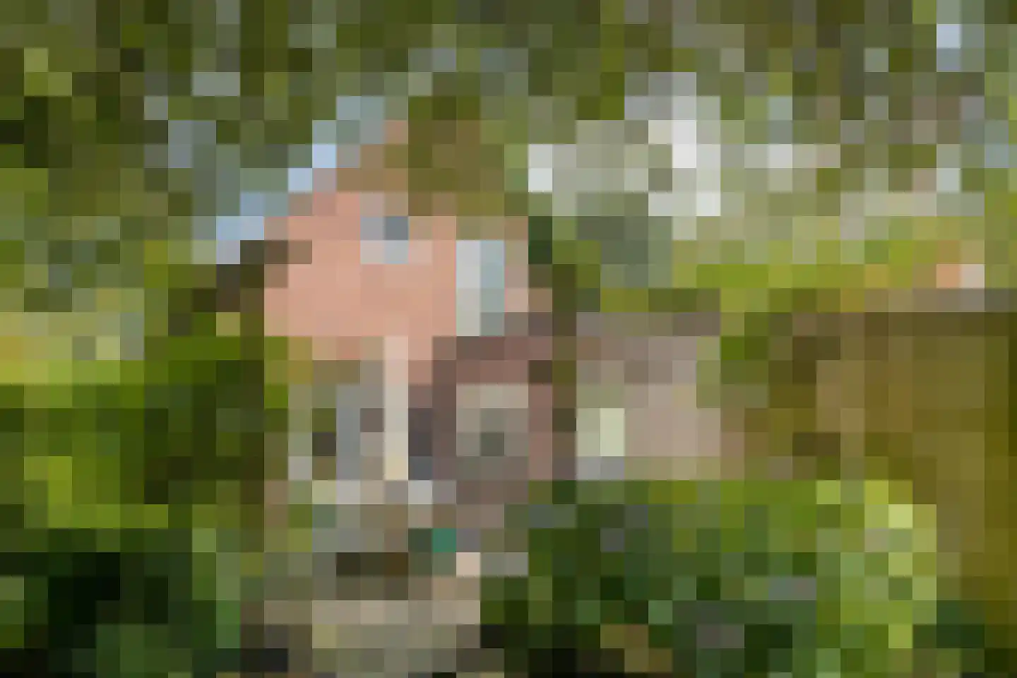 Julianalaan 24 's Gravenmoer thumbnail 29
