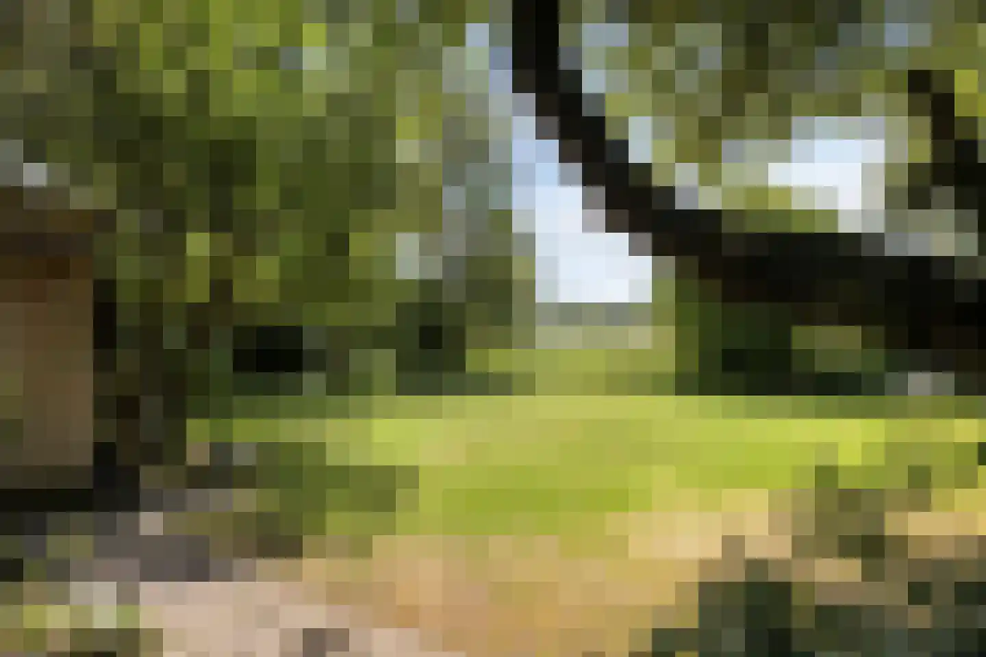 Julianalaan 24 's Gravenmoer thumbnail 30