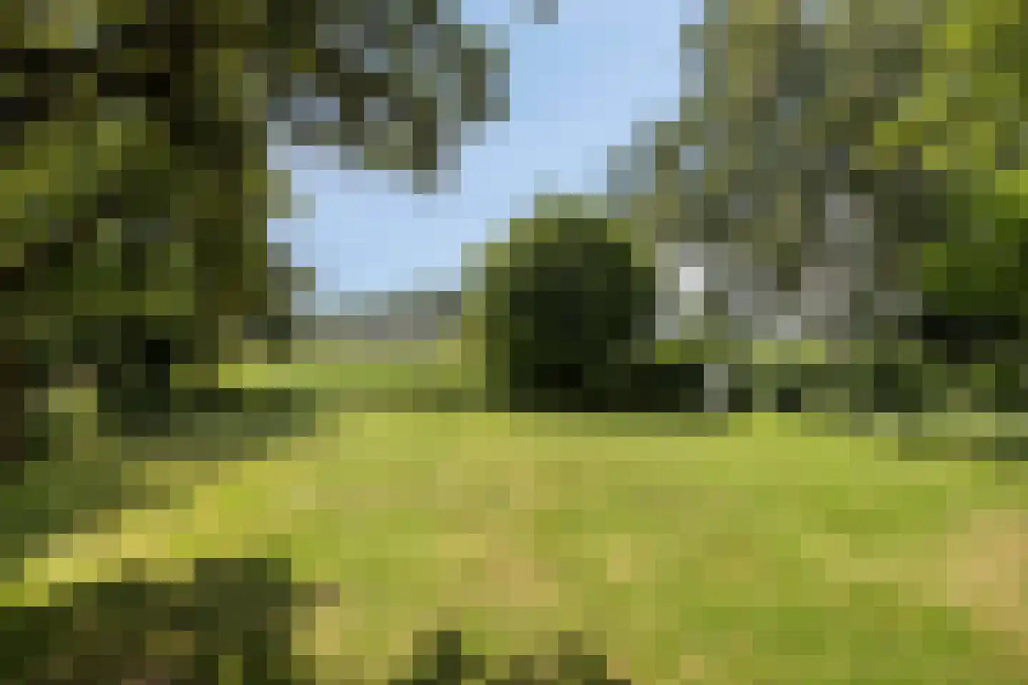 Julianalaan 24 's Gravenmoer thumbnail 31