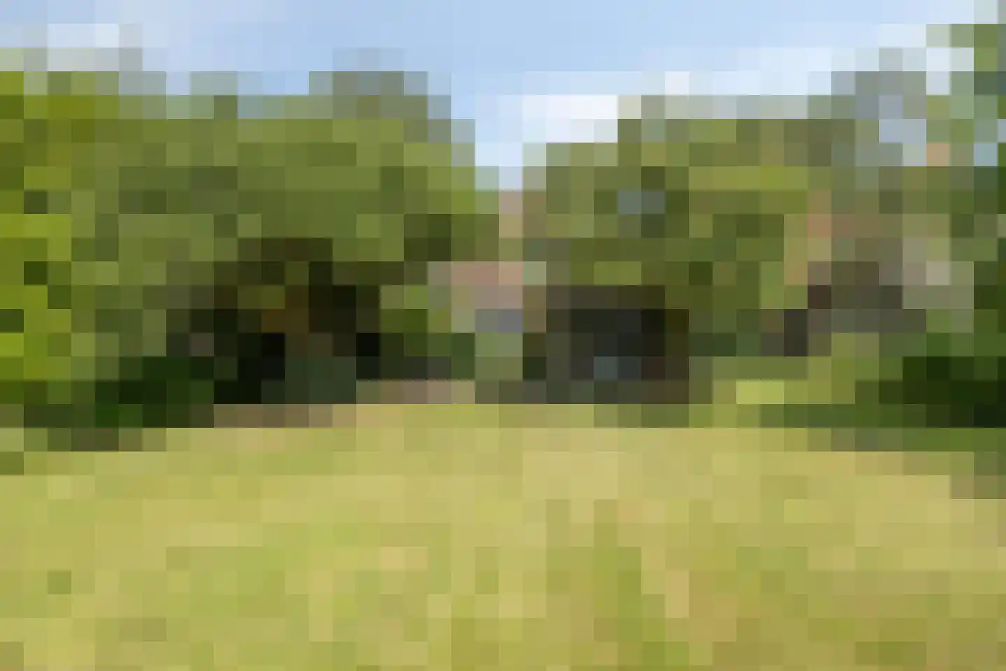 Julianalaan 24 's Gravenmoer thumbnail 32