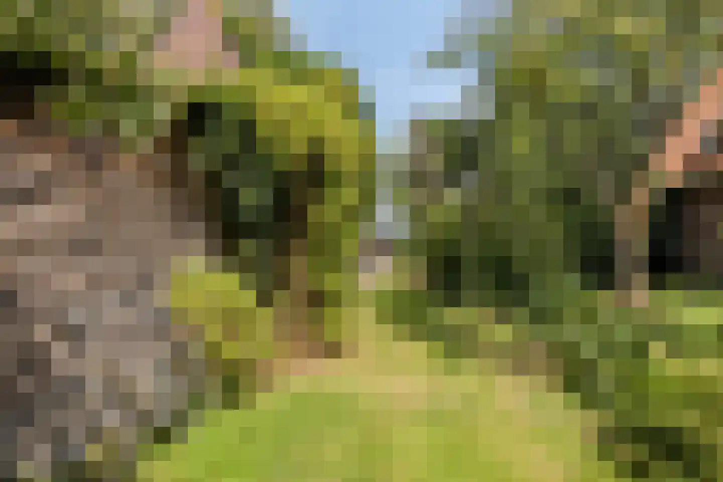 Julianalaan 24 's Gravenmoer thumbnail 33