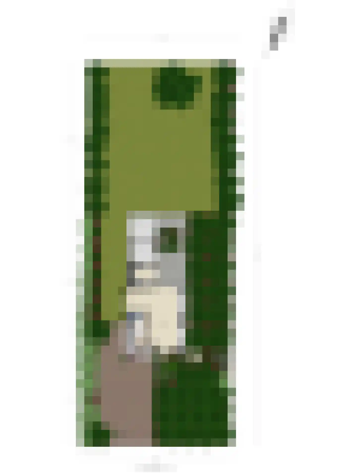 Julianalaan 24 's Gravenmoer thumbnail 36
