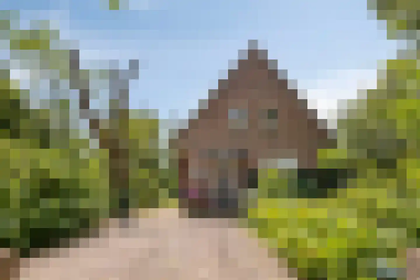 Julianalaan 24 's Gravenmoer thumbnail 8