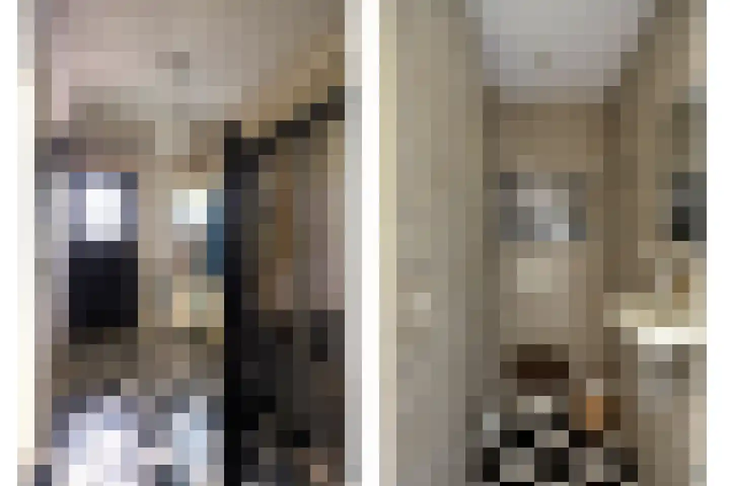 Julianalaan 24 's Gravenmoer thumbnail 9