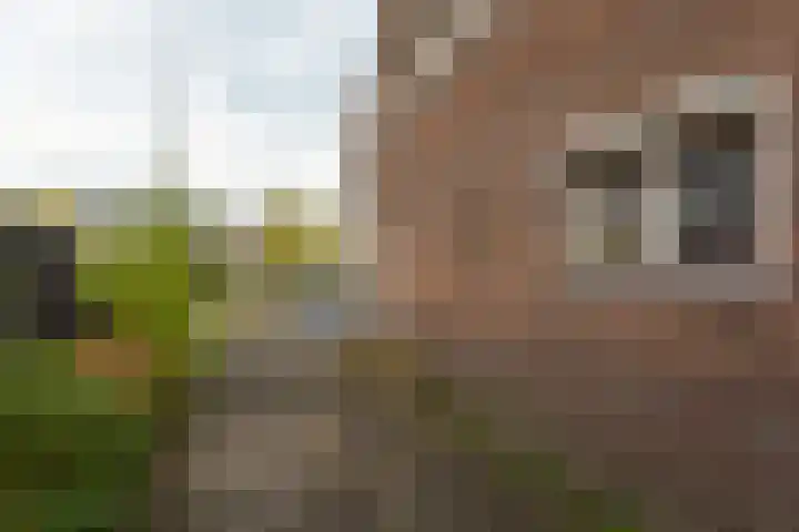 Julianalaan 24 Vinkeveen thumbnail 25