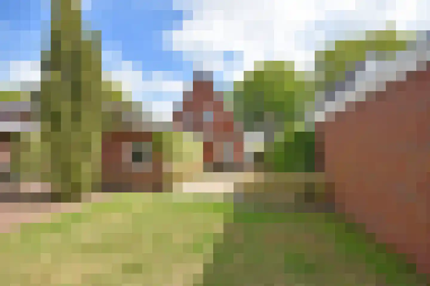 Julianalaan 25 Buitenpost thumbnail 10