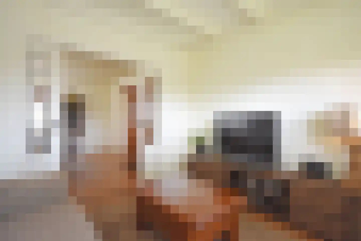 Julianalaan 25 Buitenpost thumbnail 24