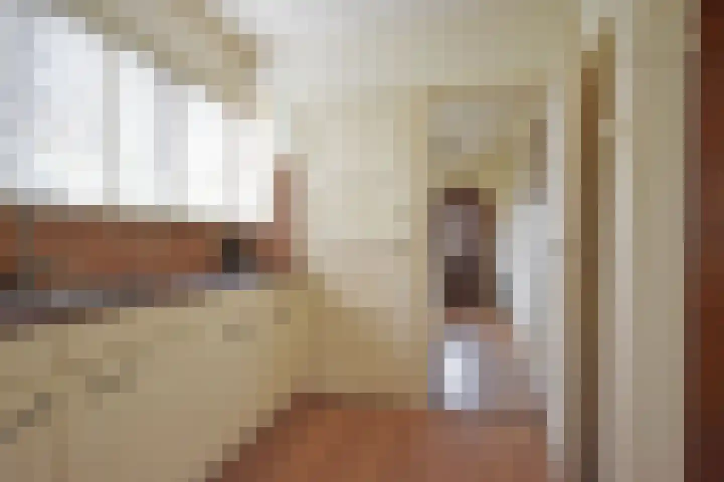 Julianalaan 25 Buitenpost thumbnail 29