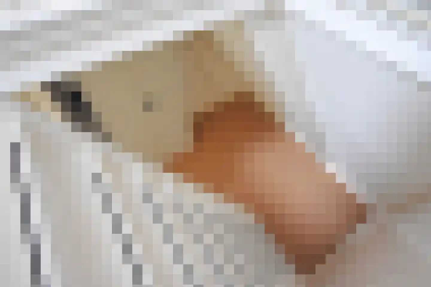 Julianalaan 25 Buitenpost thumbnail 52
