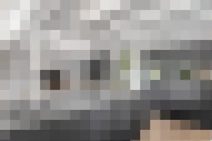 Julianalaan 25 Leeuwarden thumbnail 20