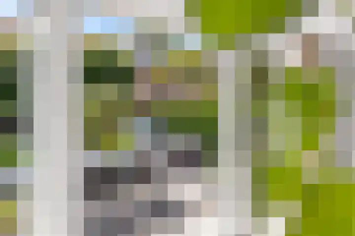 Julianalaan 25 Leeuwarden thumbnail 31