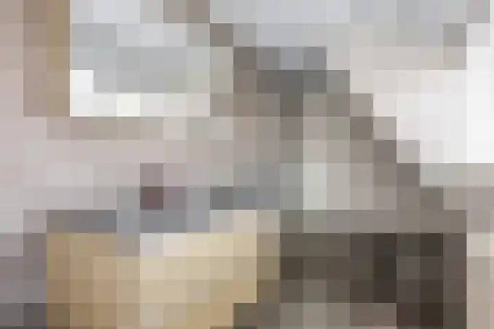 Julianalaan 25 Leeuwarden thumbnail 37