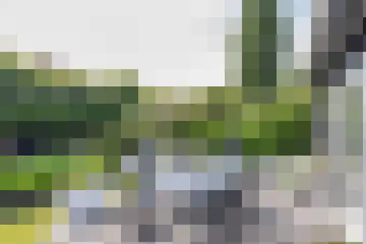 Julianalaan 25 Leeuwarden thumbnail 42