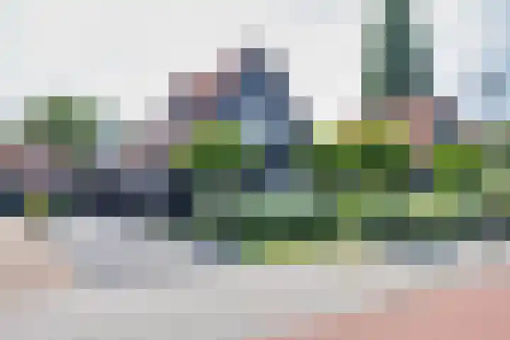 Julianalaan 25 Leeuwarden thumbnail 6