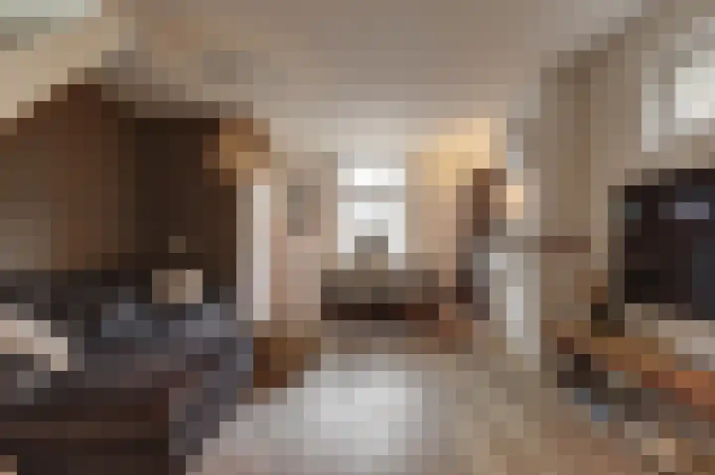 Julianalaan 25 Raamsdonksveer thumbnail 13