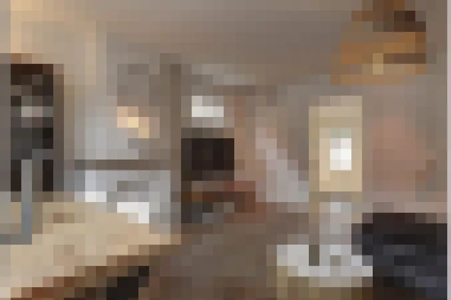 Julianalaan 25 Raamsdonksveer thumbnail 15
