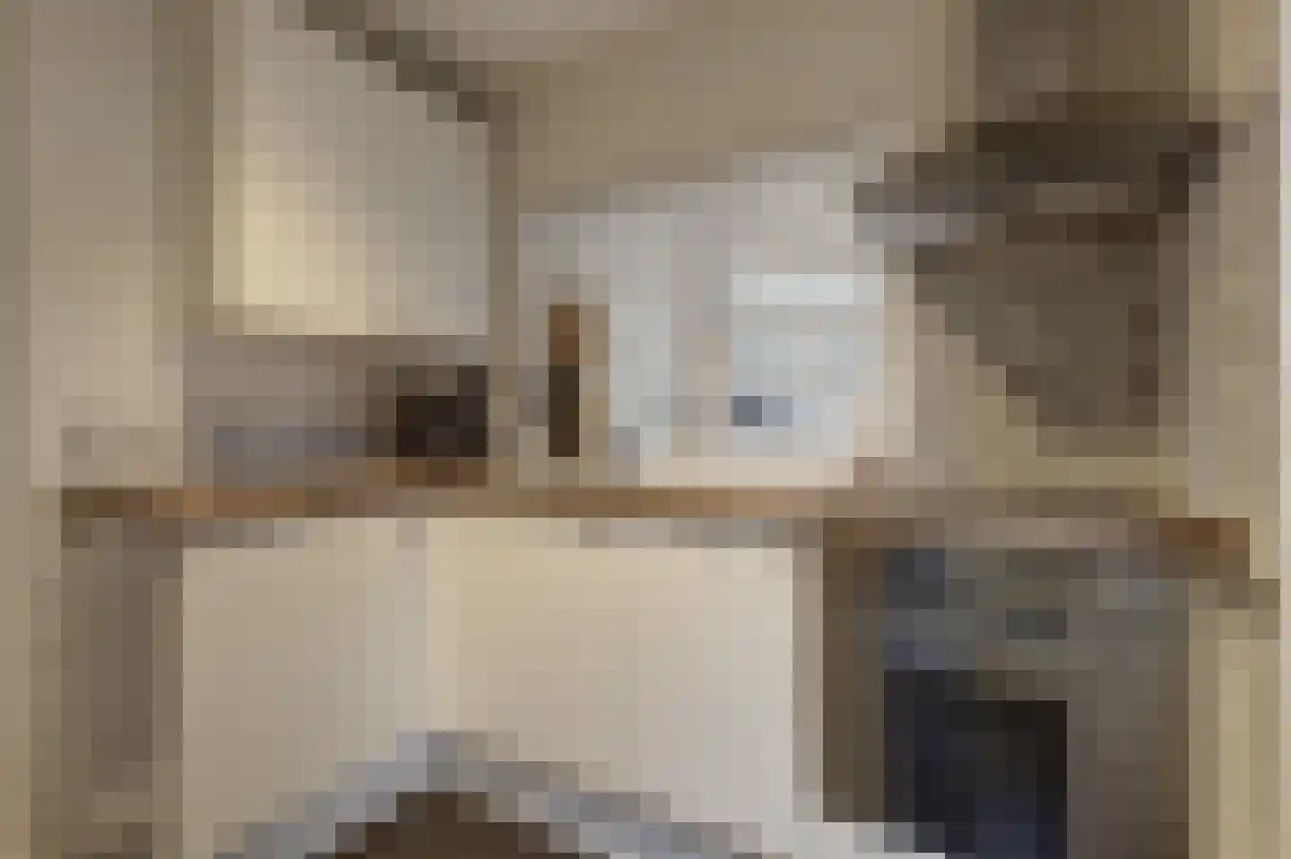 Julianalaan 25 Raamsdonksveer thumbnail 17