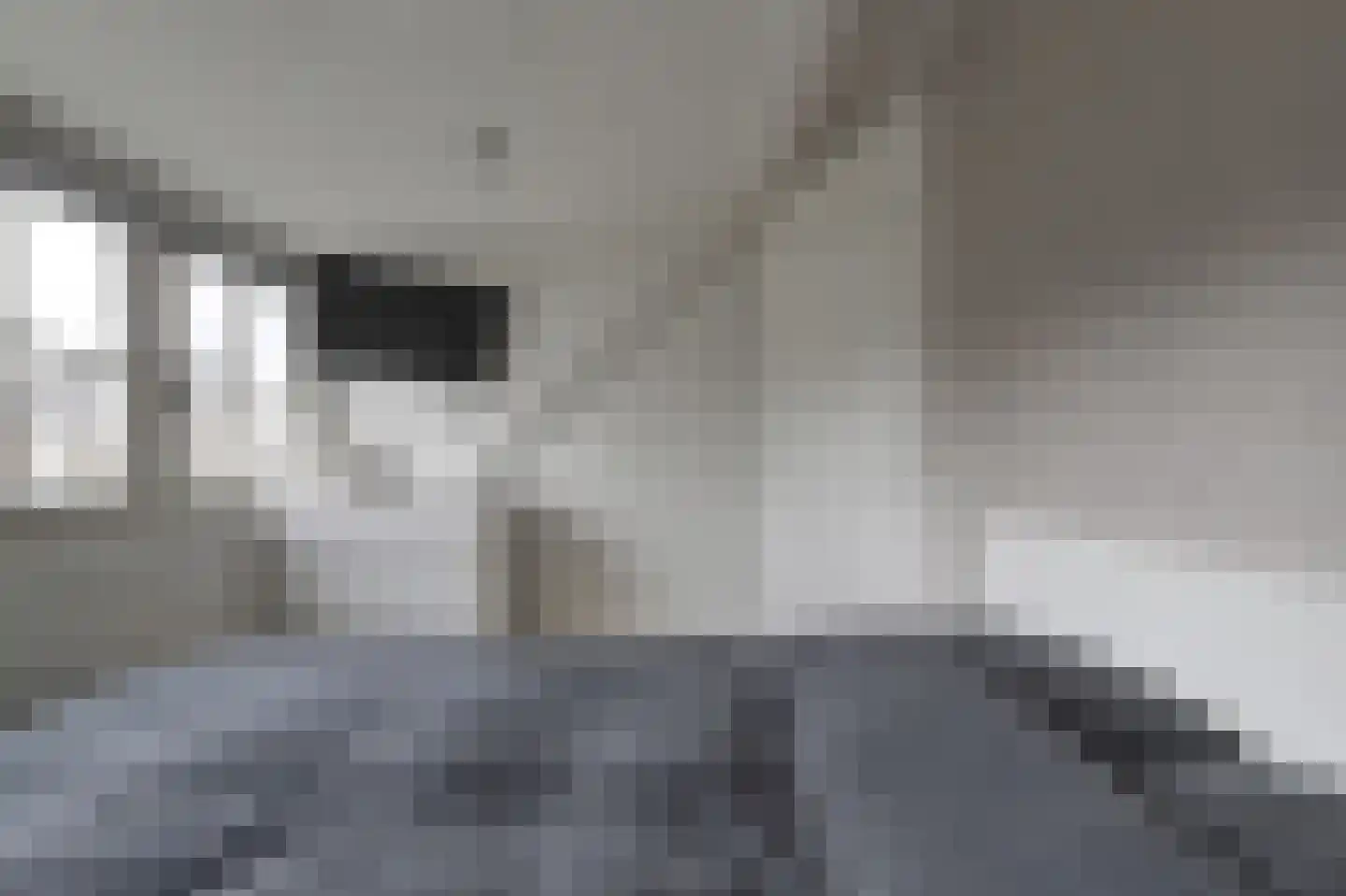 Julianalaan 25 Raamsdonksveer thumbnail 23