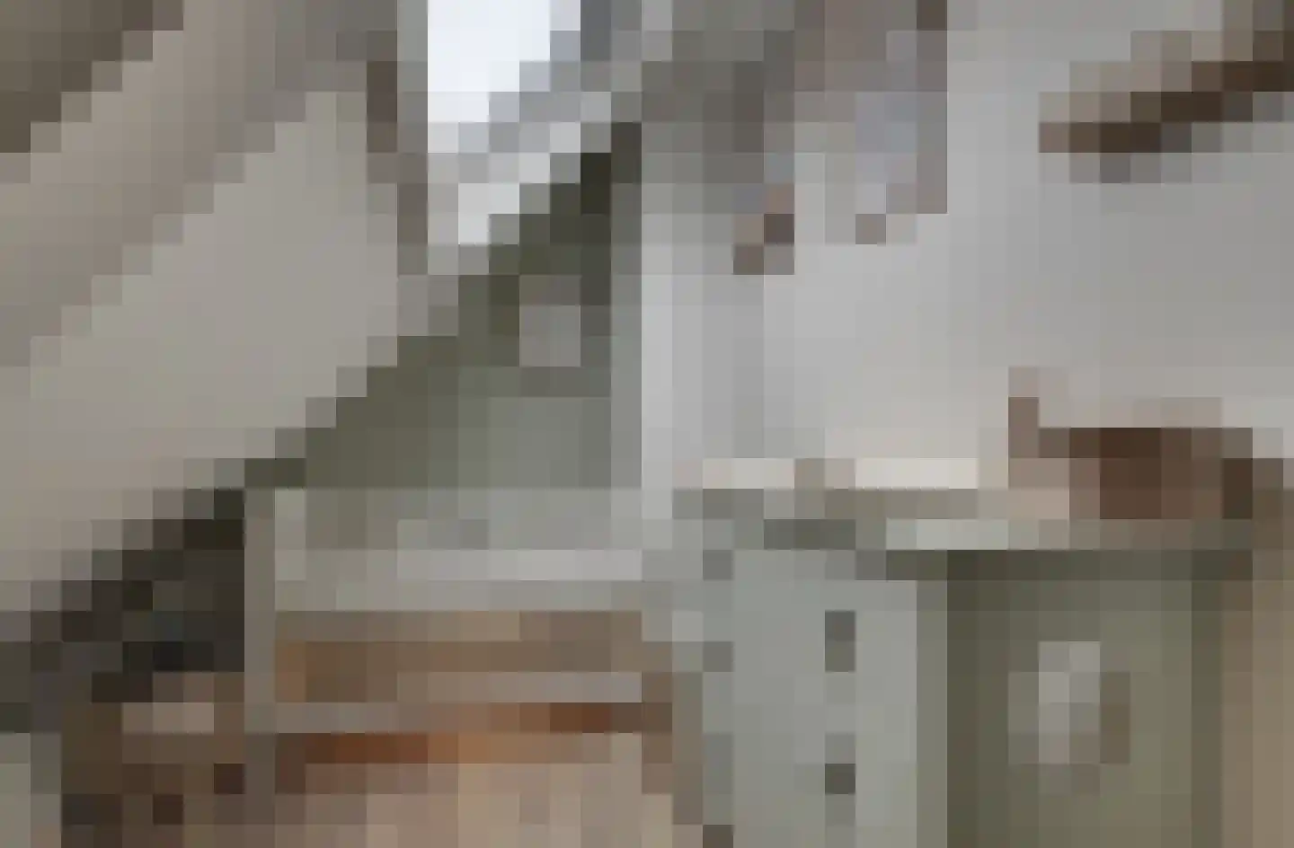 Julianalaan 25 Raamsdonksveer thumbnail 25