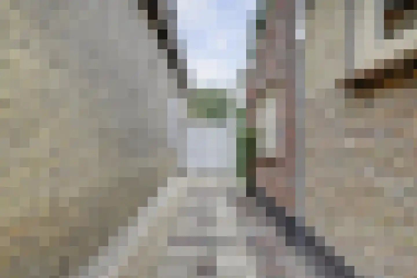 Julianalaan 25 Raamsdonksveer thumbnail 30