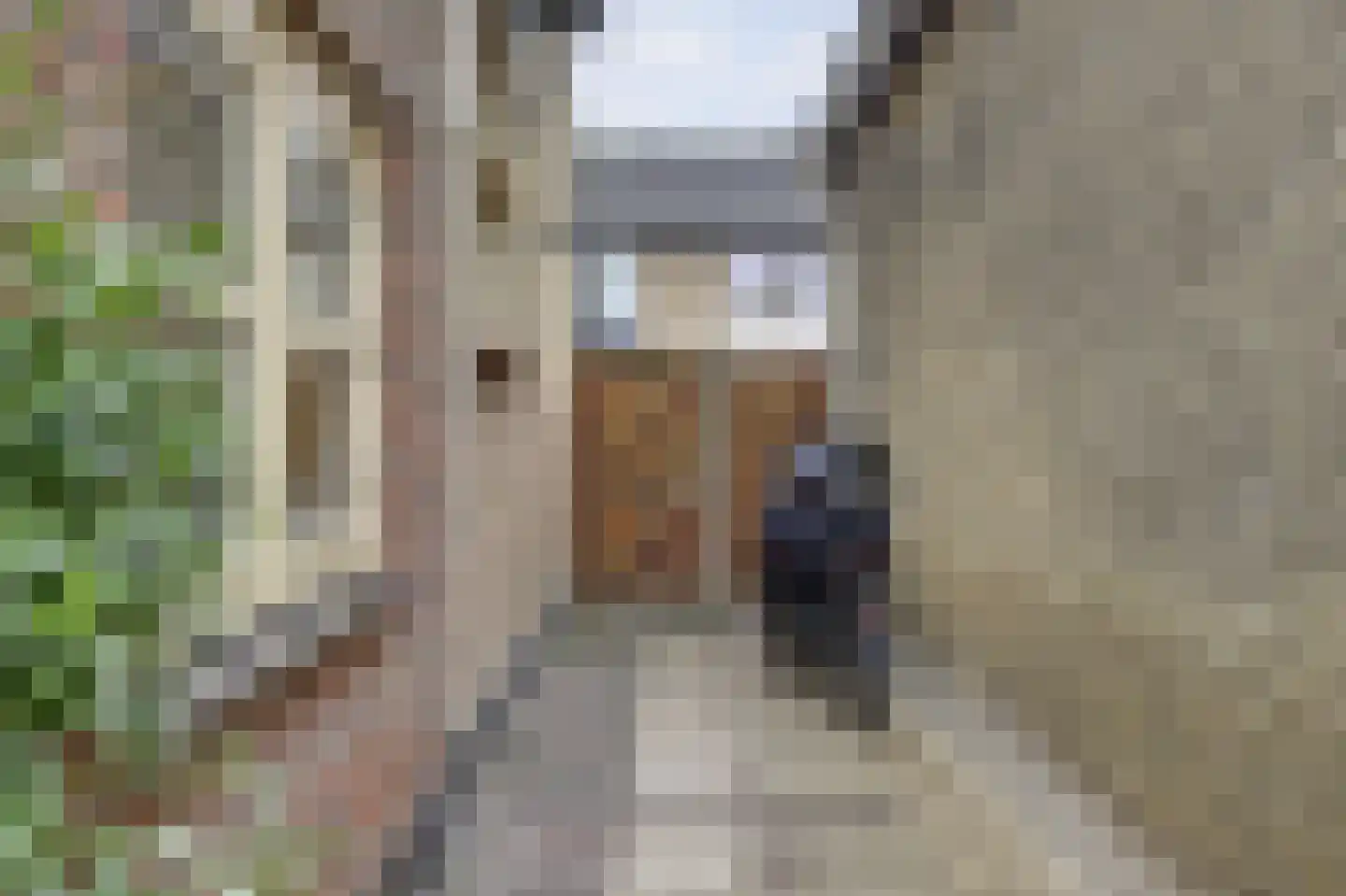 Julianalaan 25 Raamsdonksveer thumbnail 31
