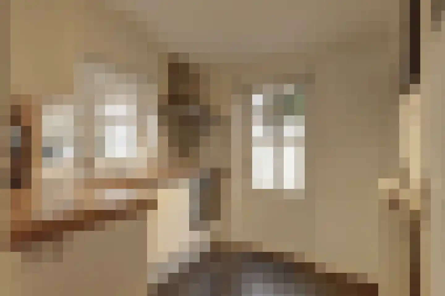 Julianalaan 25 Raamsdonksveer thumbnail 4