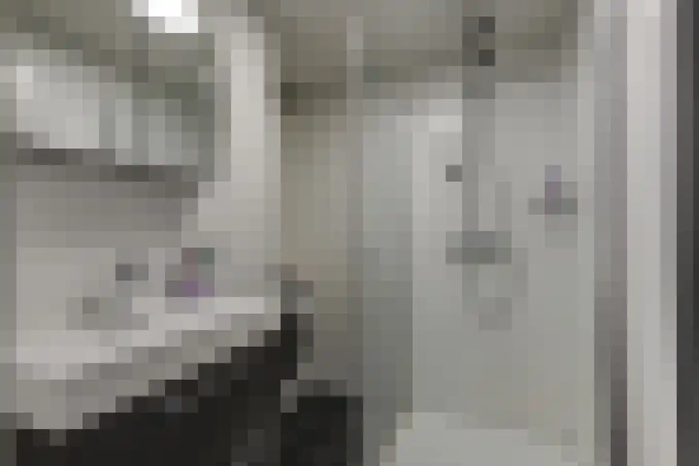 Julianalaan 25 Raamsdonksveer thumbnail 5
