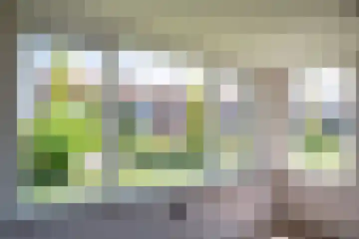Julianalaan 25 Vorden thumbnail 12