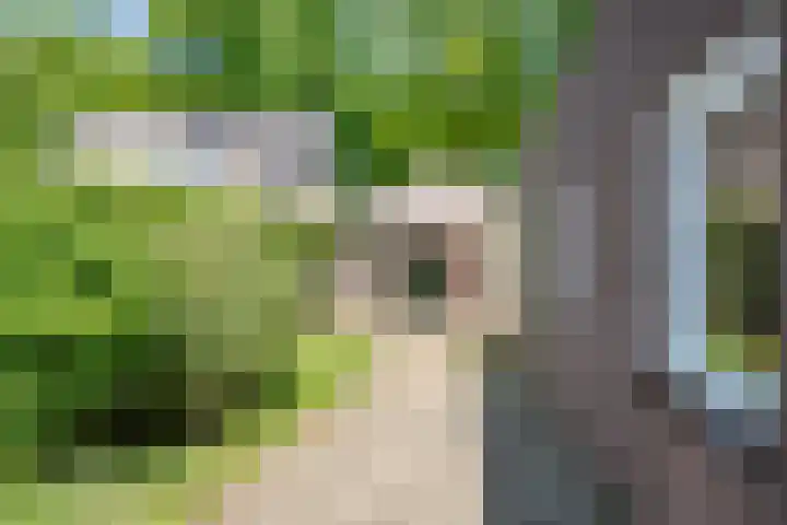 Julianalaan 25 Vorden thumbnail 22